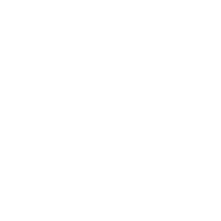 Golden Motor